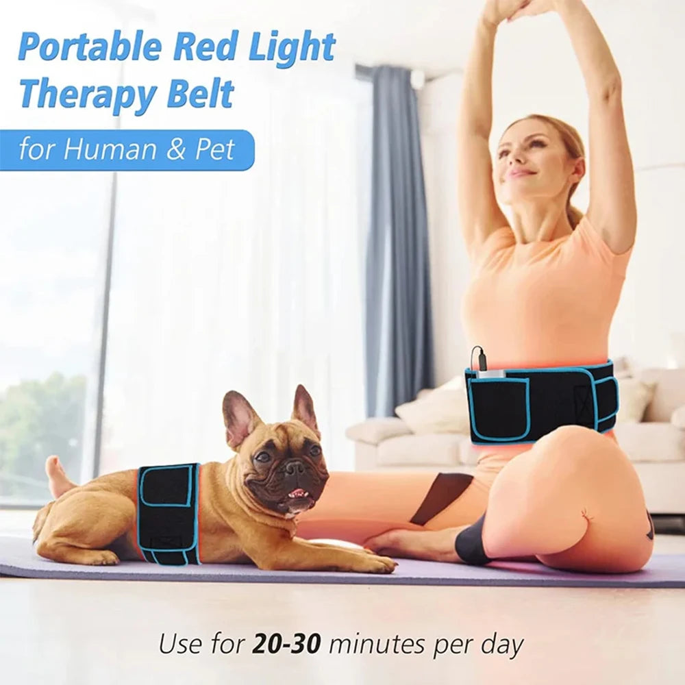 RedLux Therapy Belt